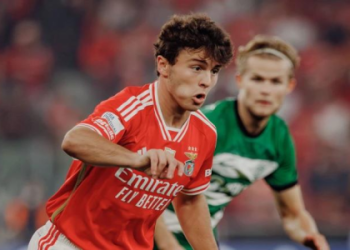 Toulouse vs Benfica Prediction Who Will Win This Game