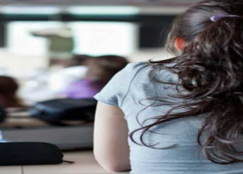 Why is Diane Scheffler famous? (Understand her impact and contributions easily!)