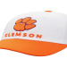 Tiger Paw and Clemson Traditions: Whats the Connection? Get the Facts