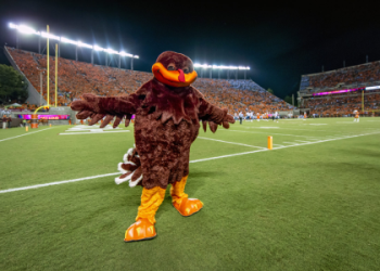 Coolest Bird Mascots: See the Football Teams (A Guide to Football Teams with Bird Mascots)