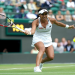 Heather Watson vs Karolina Pliskova: Who Will Win? (Simple Match Preview and Predictions for Tennis Fans)