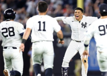 Curious About Referee Pay? We Dive into the Details of the MLB Umpire Salary.