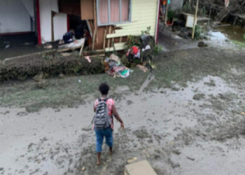 Tonga Loa Eye Injury Explained: Easy-to-Understand Facts.