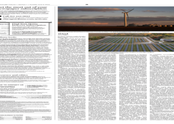 Donna Schwarber:  Everything You Want to Know (Your Questions Answered Here)