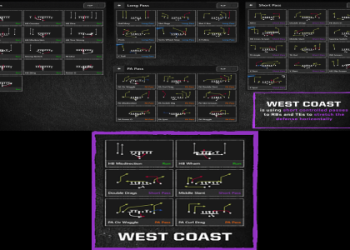 Wildcat Offense Playbook for Beginners: Simple Strategies to Win More Games, Very Easy to Learn!