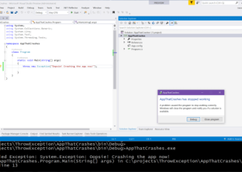 Help! An Unhandled Server Exception Has Occurred: Easy Troubleshooting Steps for Beginners.