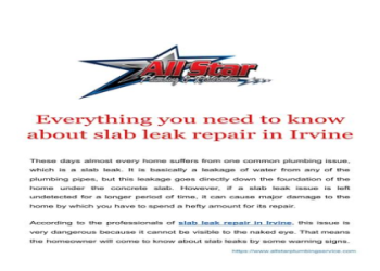 The Paige Vanzant of Leaks: All details and easy tips for online protection.