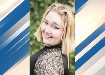 What Happened? See What Dream Did in November 2023-Big Updates.