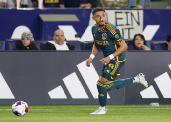 Exploring Hugo Lloris Net Worth: His impressive financial status