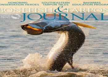 All About laura meier fisher (Basic Facts & Background)