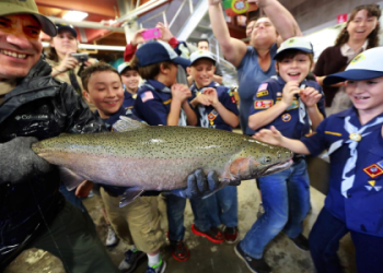 Crossword Help: Hints for the MLB Star Trout Question.