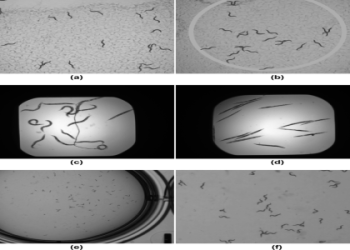 How to get fontaine visions? Check these easy tips to get started right now!