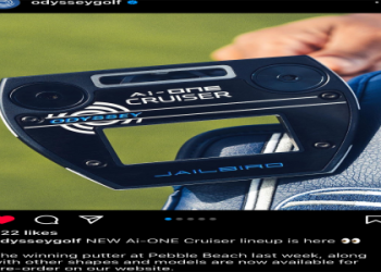 Jailbird Mini vs Jailbird: Easy Guide to Choosing the Right Putter!