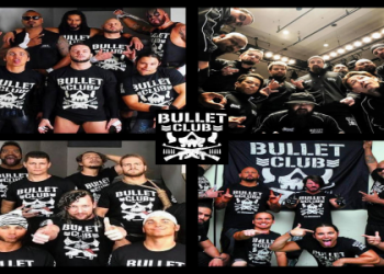 Who Owns WWE Today? Everything You Need to Know.