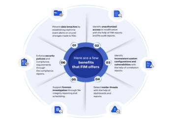 The Finals: Dealing with System Integrity Violation Problems
