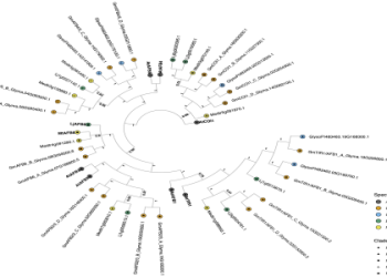Learn Viva La Raza: Translation and Significance Explained!