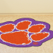 Clemson University Mascot: Everything You Need to Know (What is the mascot of Clemson University)