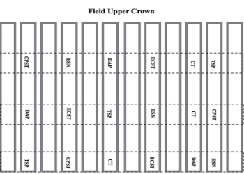 All About Dan Heefner A&M: Simple Facts for Fans!