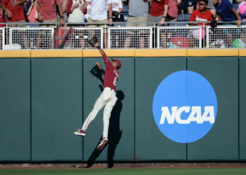 Cape League Standings: Current Rankings & Team Breakdowns!