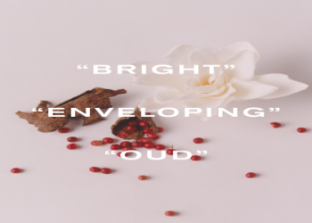 Rhea Hughes bio: Early life, achievements, and net worth info.