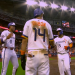 Visiting Minute Maid Park: Know the Capacity First!