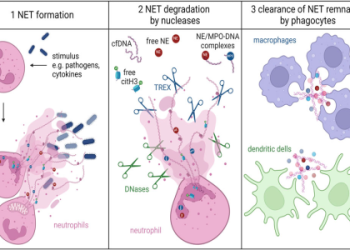 Spectre Divide CB over: Results?